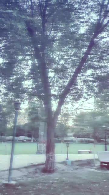 @itx__Ƴasin