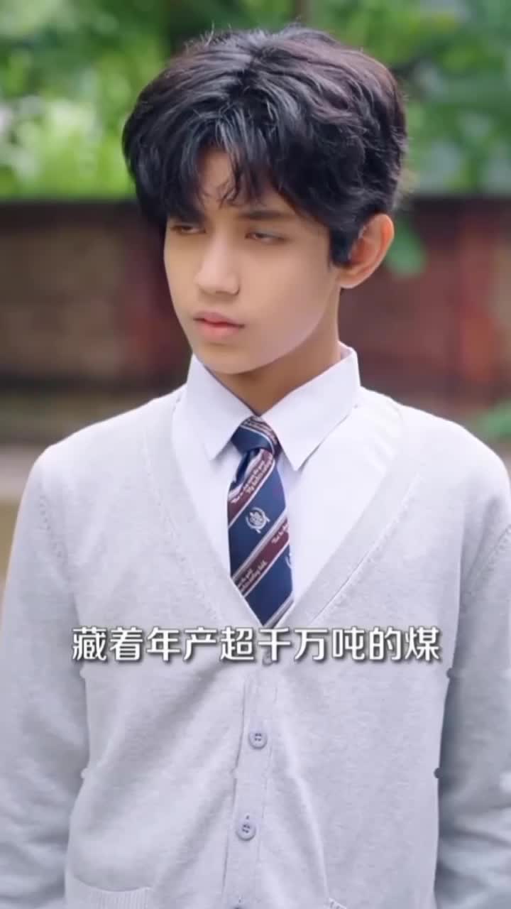 @Zhang Lin(张林) 🇮🇩🇨🇳