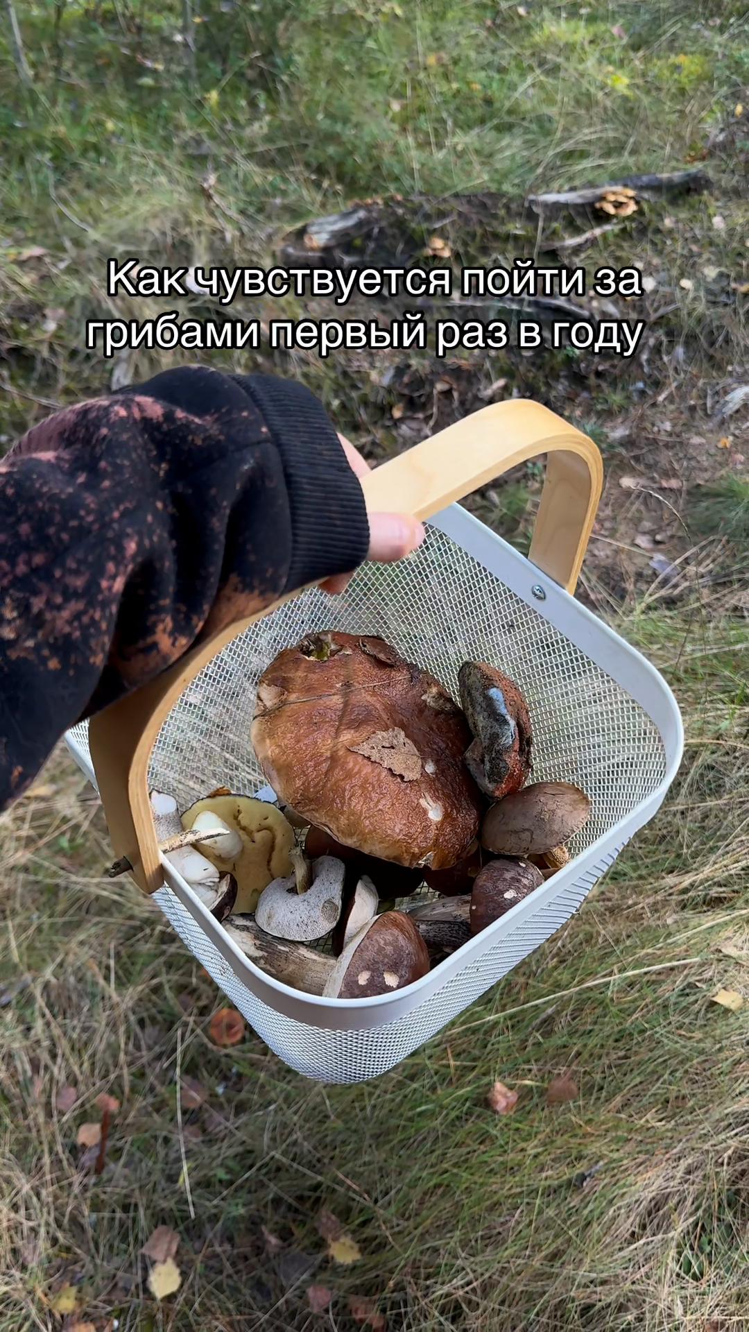 @Мілана Кахана