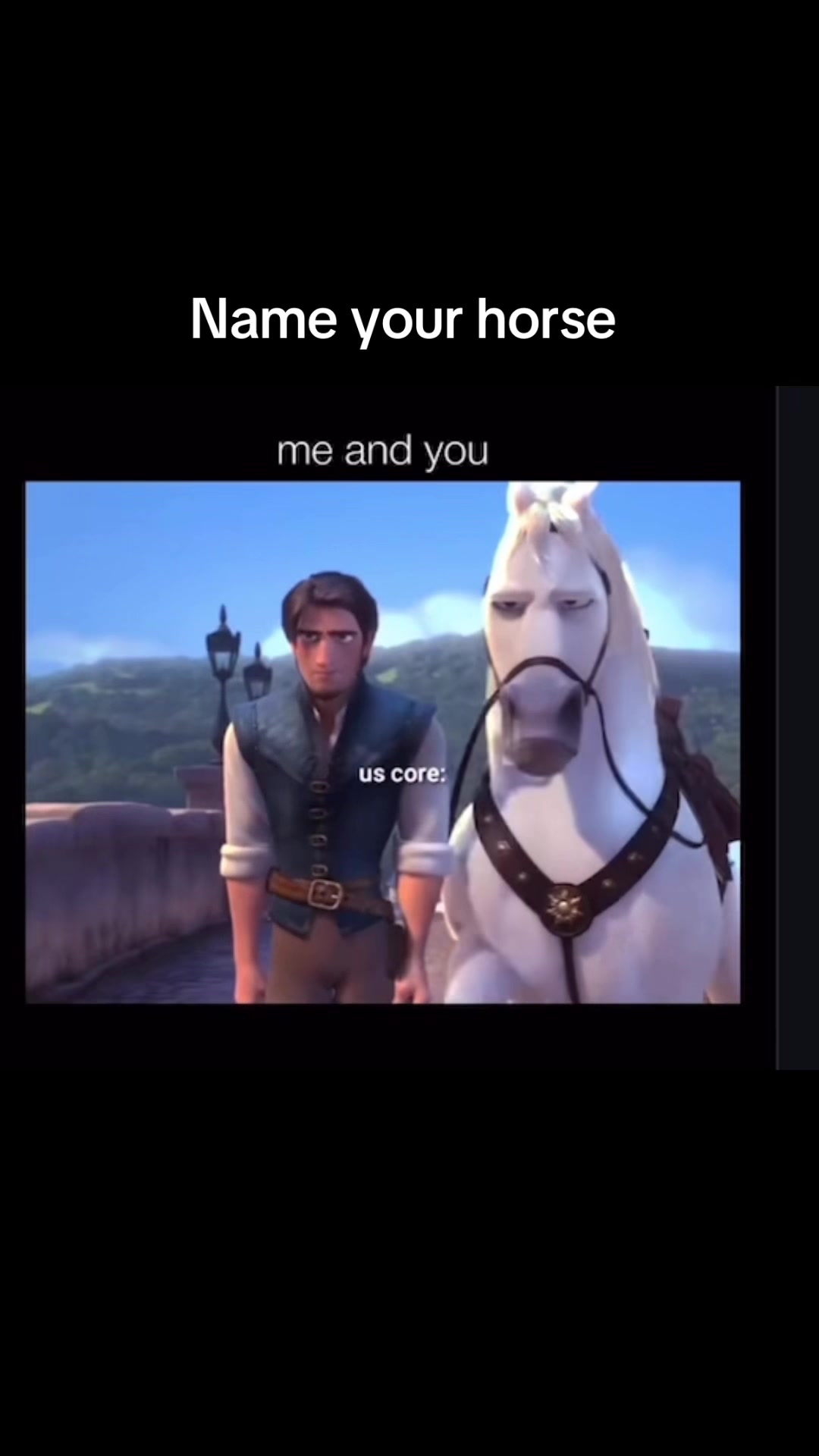 @HORSES