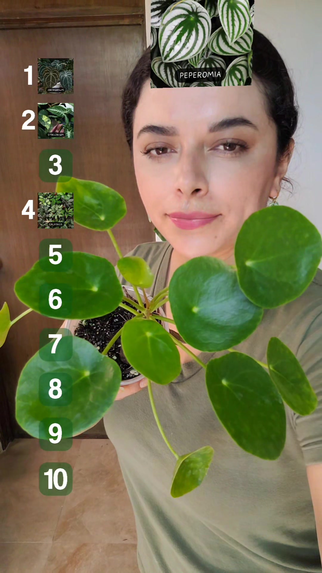 @Plantología🌿