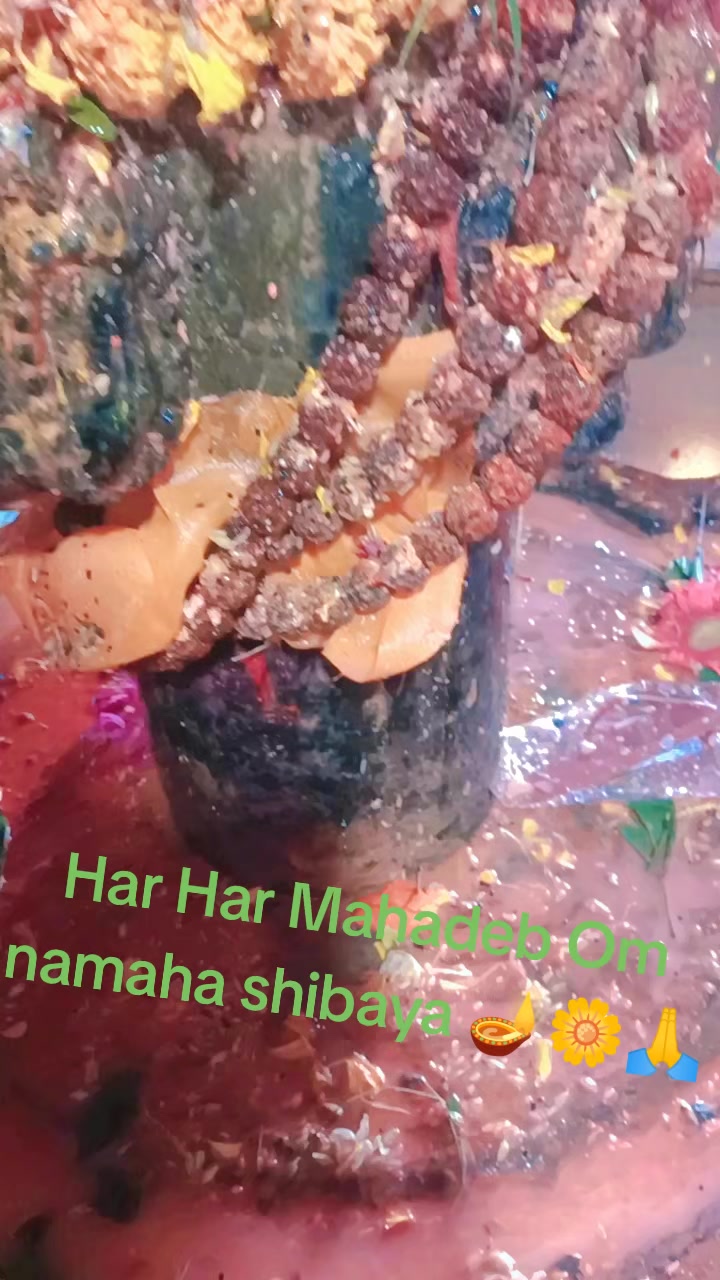 @Junu_rai582