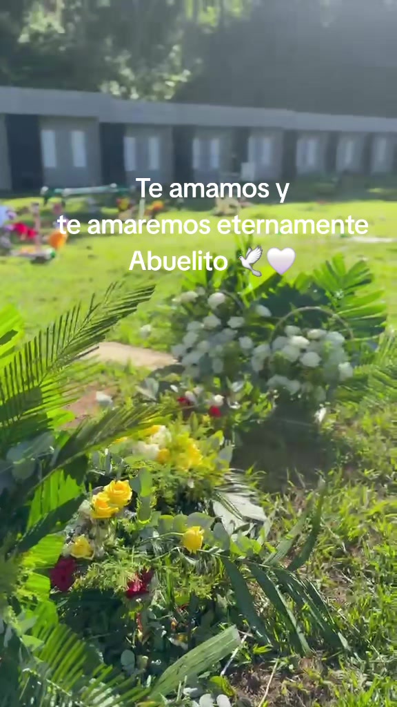 @SUE-VIDEOS