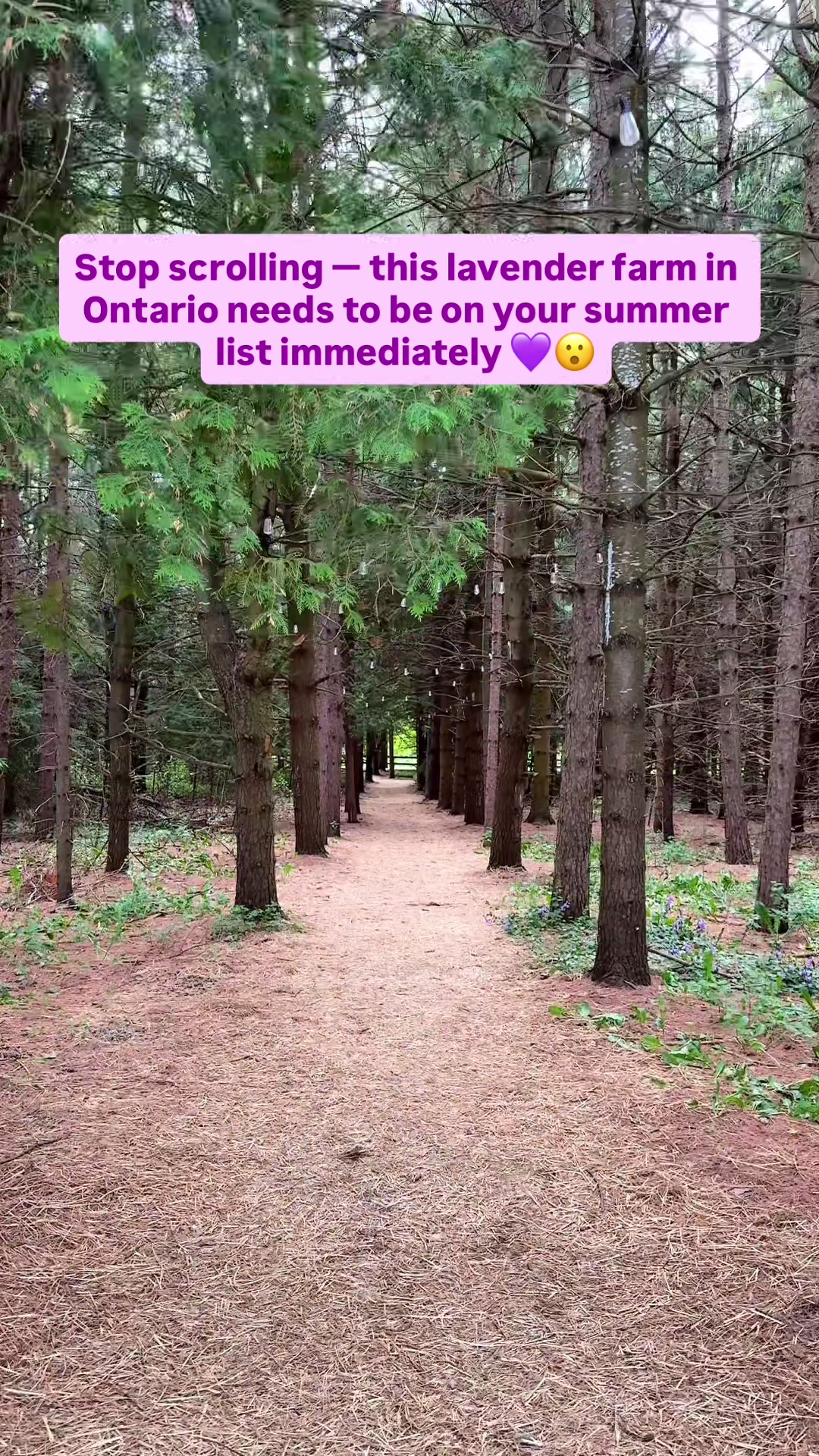 @The Calorie Corridor