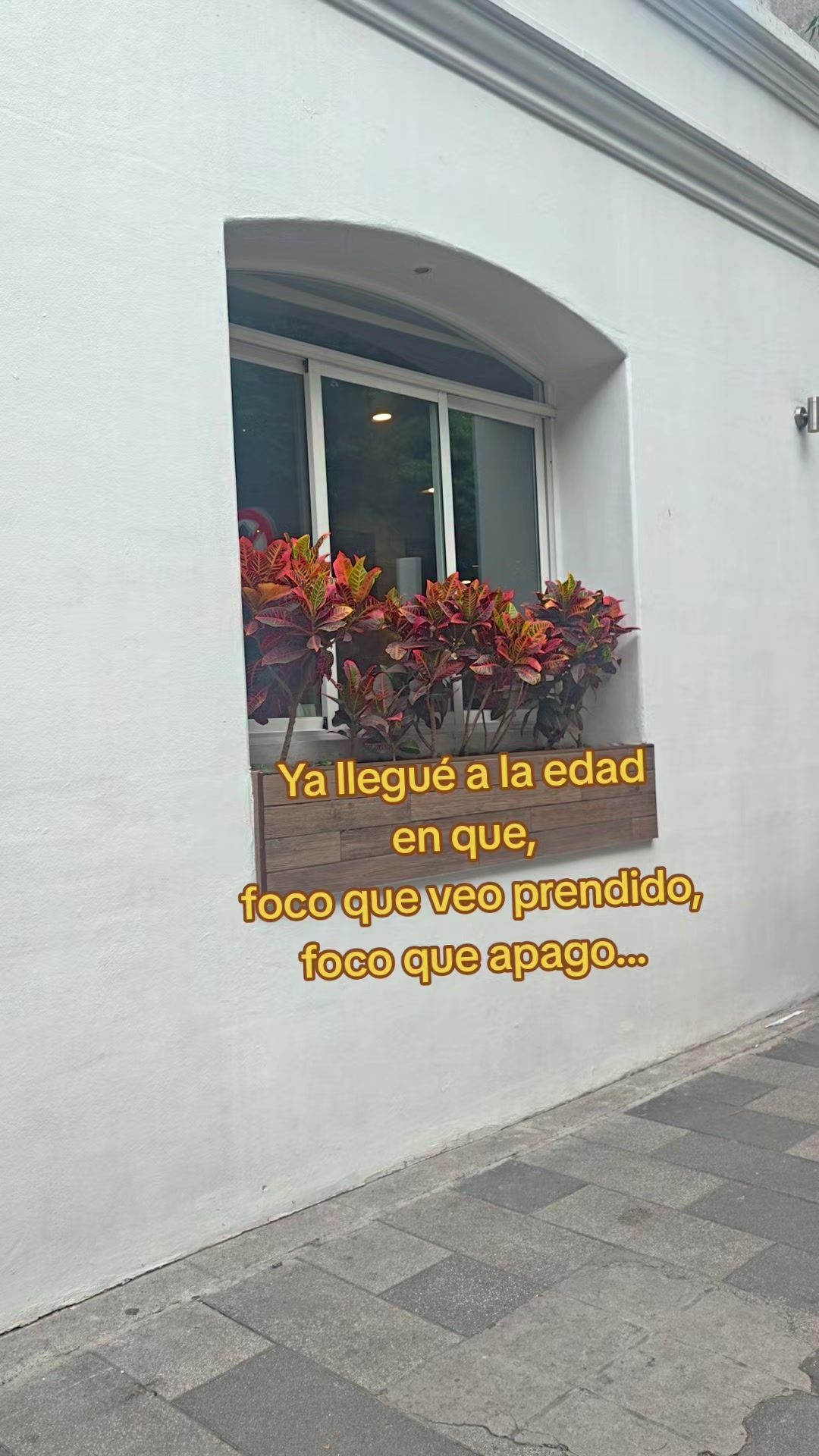 @Azul Buendía