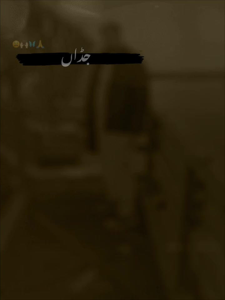 @muzammaljee042