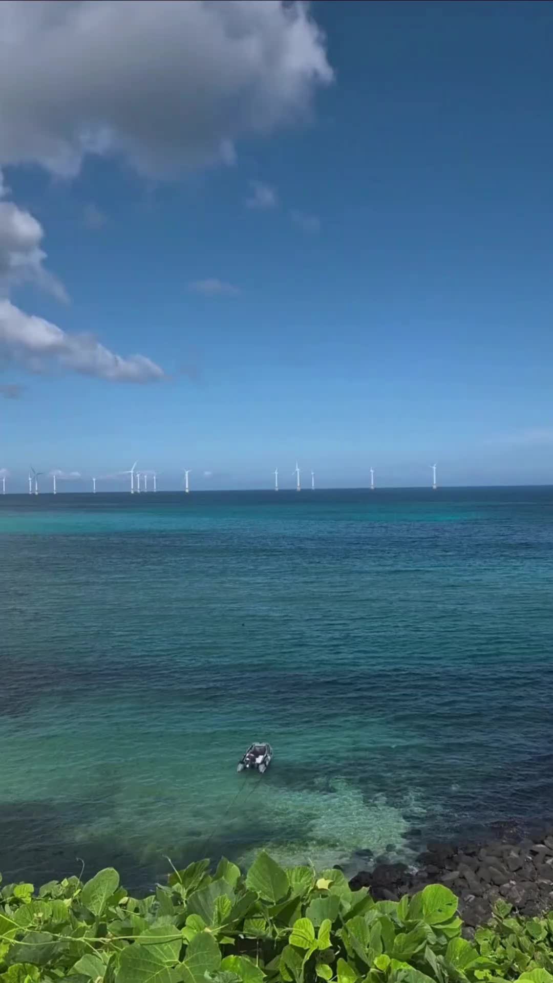 @베네딕트