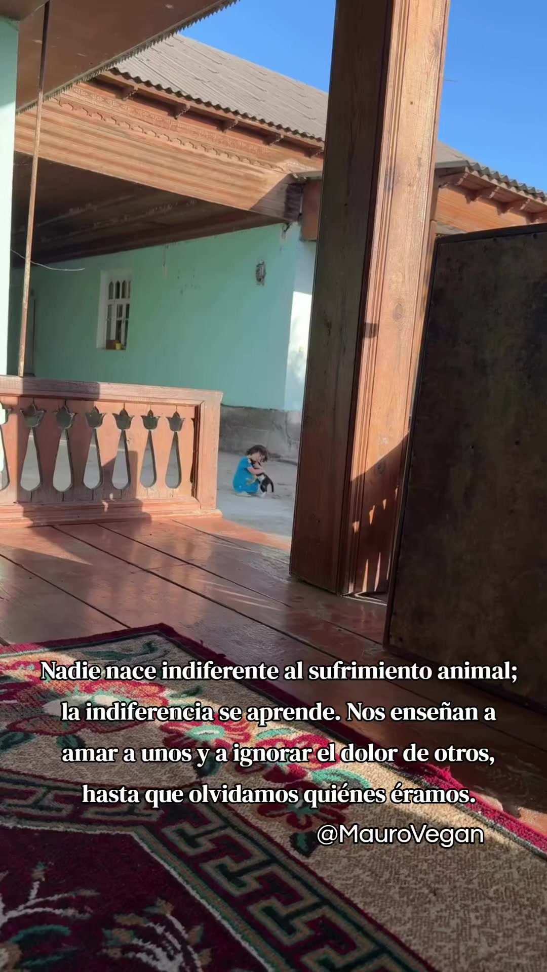 @Mauro Vegan🐑