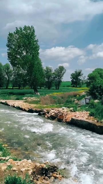 @Doğada yaşam