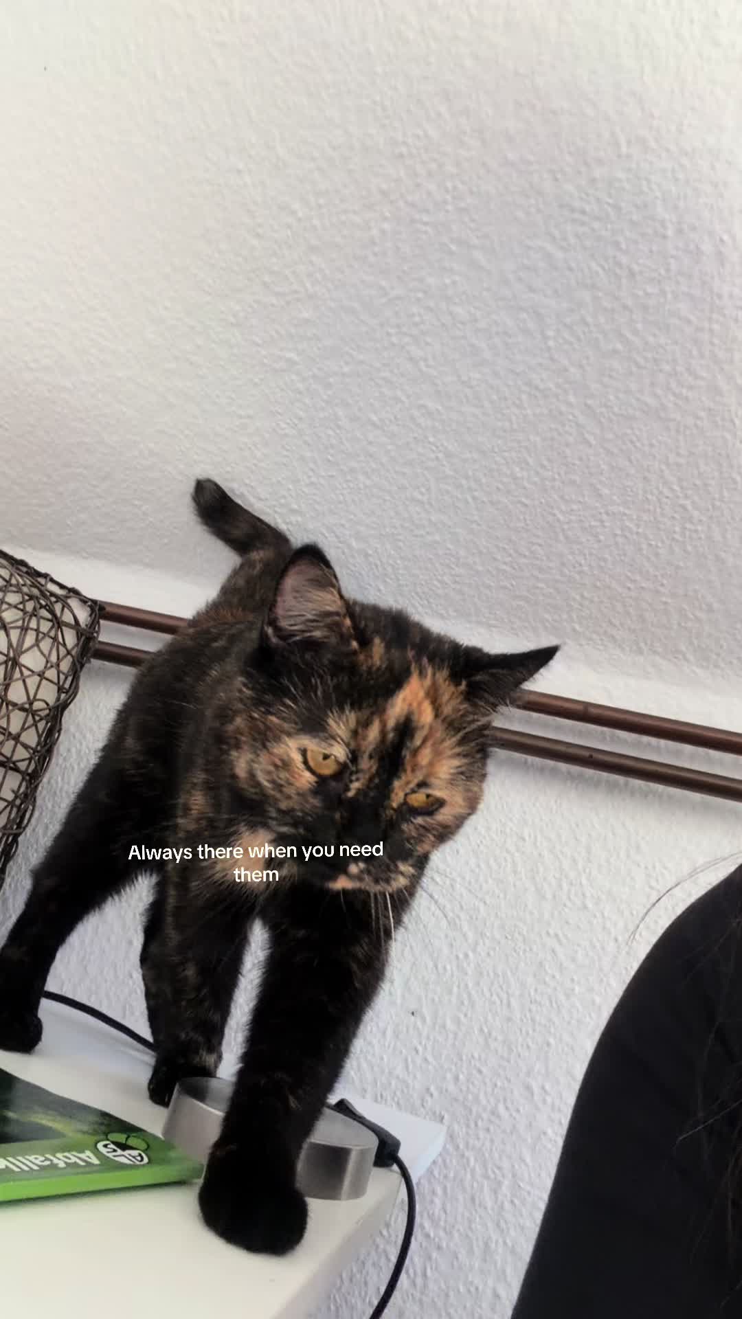 @★ʸᵘⁿᵃ ᵃⁿᵈ ᶠʳⁱᵉⁿᵈˢ★