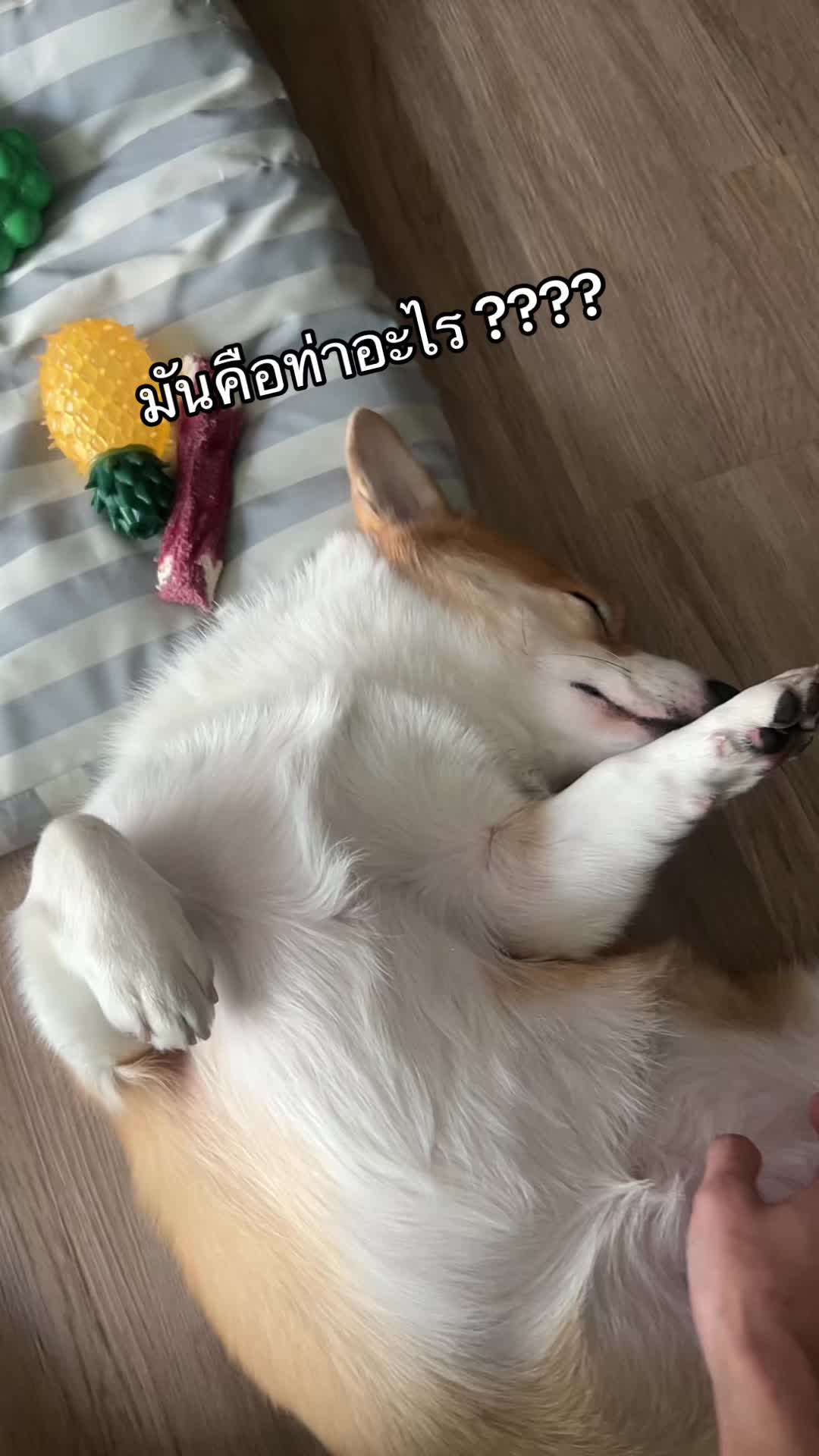 @Star_nut