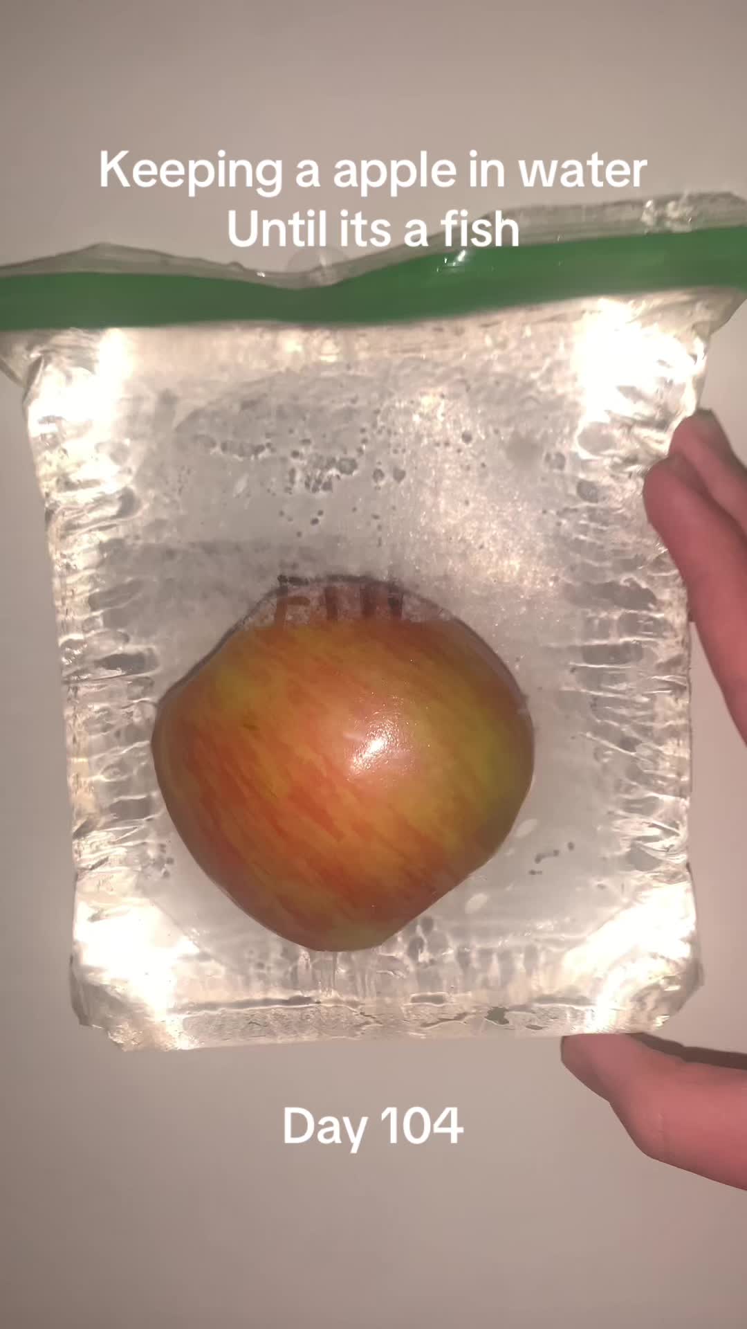 @ve0ck