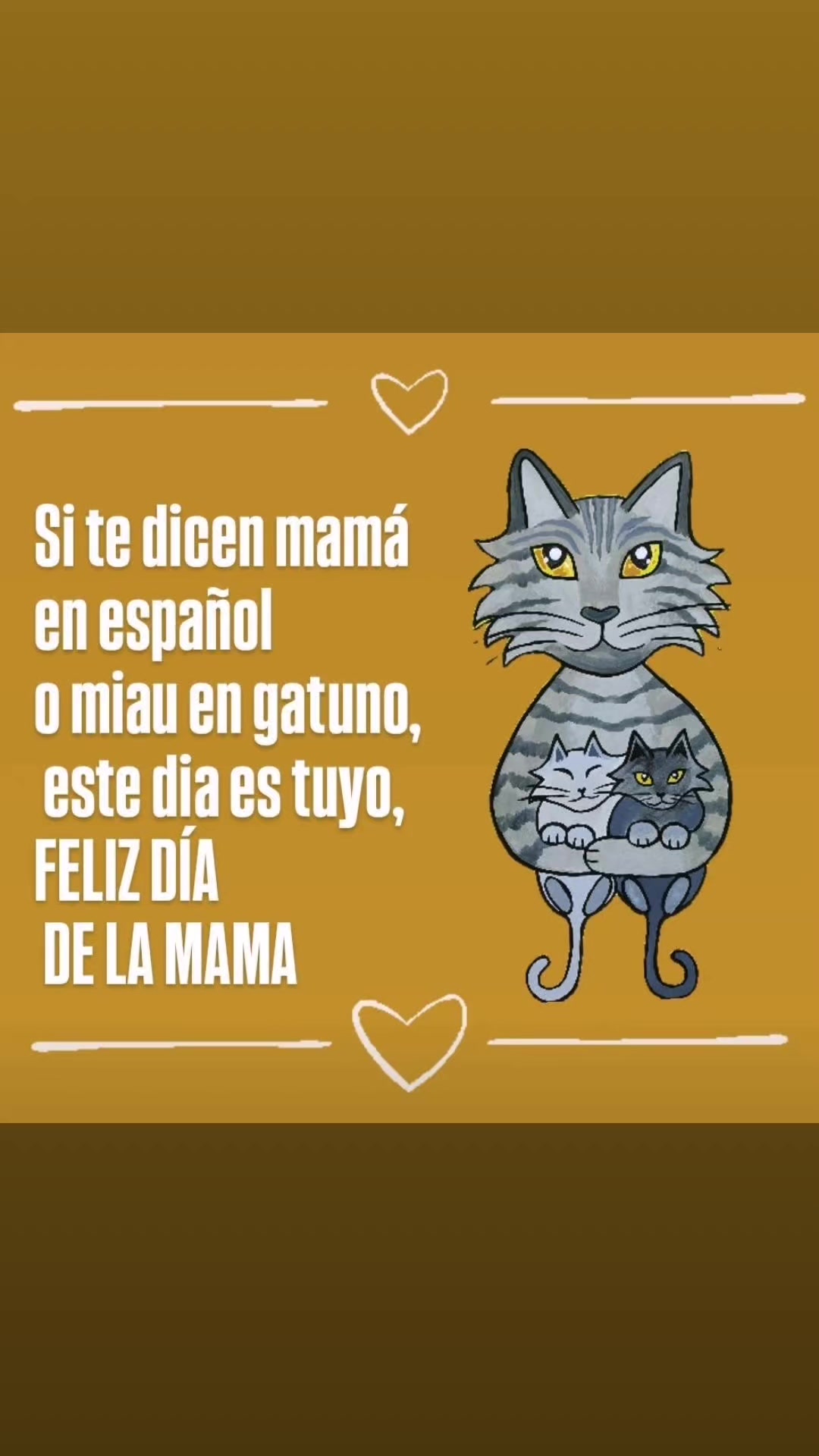 @michitiendachile