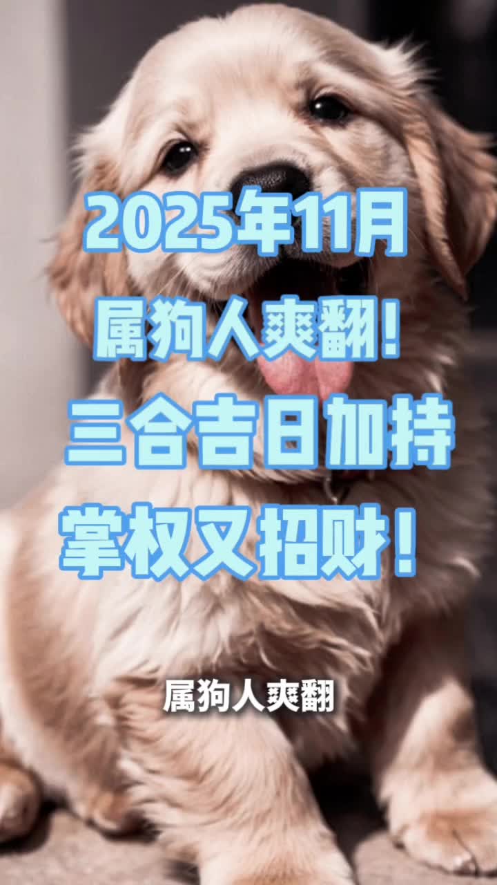@七法教你玩轉-数字学
