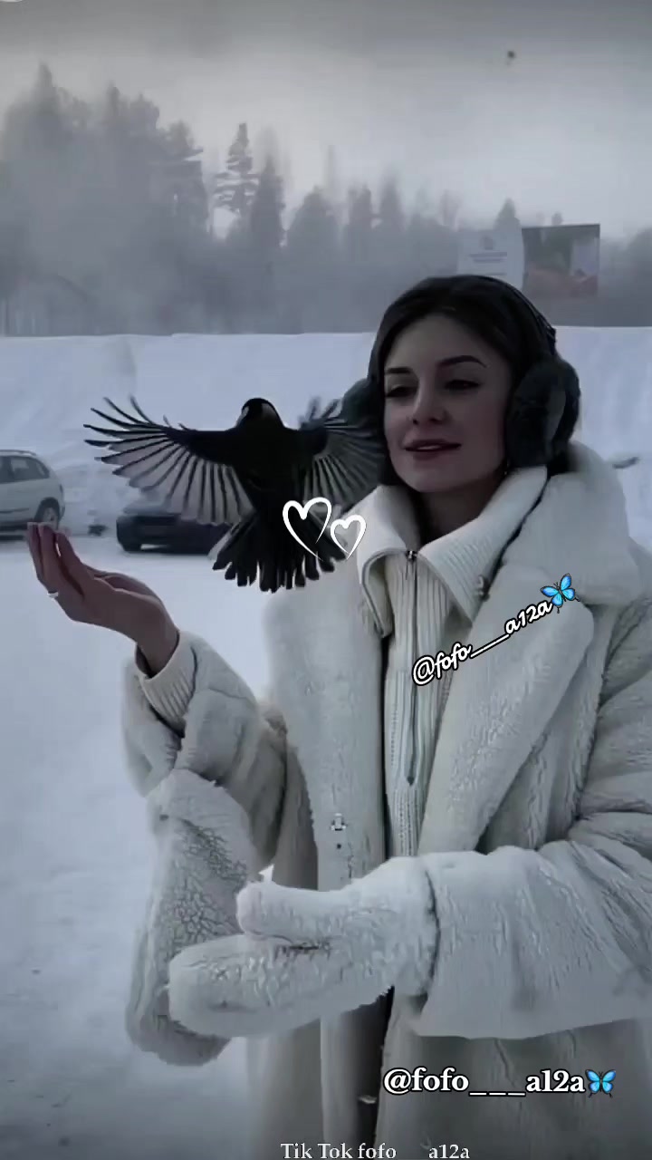 @✨🦋فراشـᬼ❥᭄❥ᬼـة🦋✨