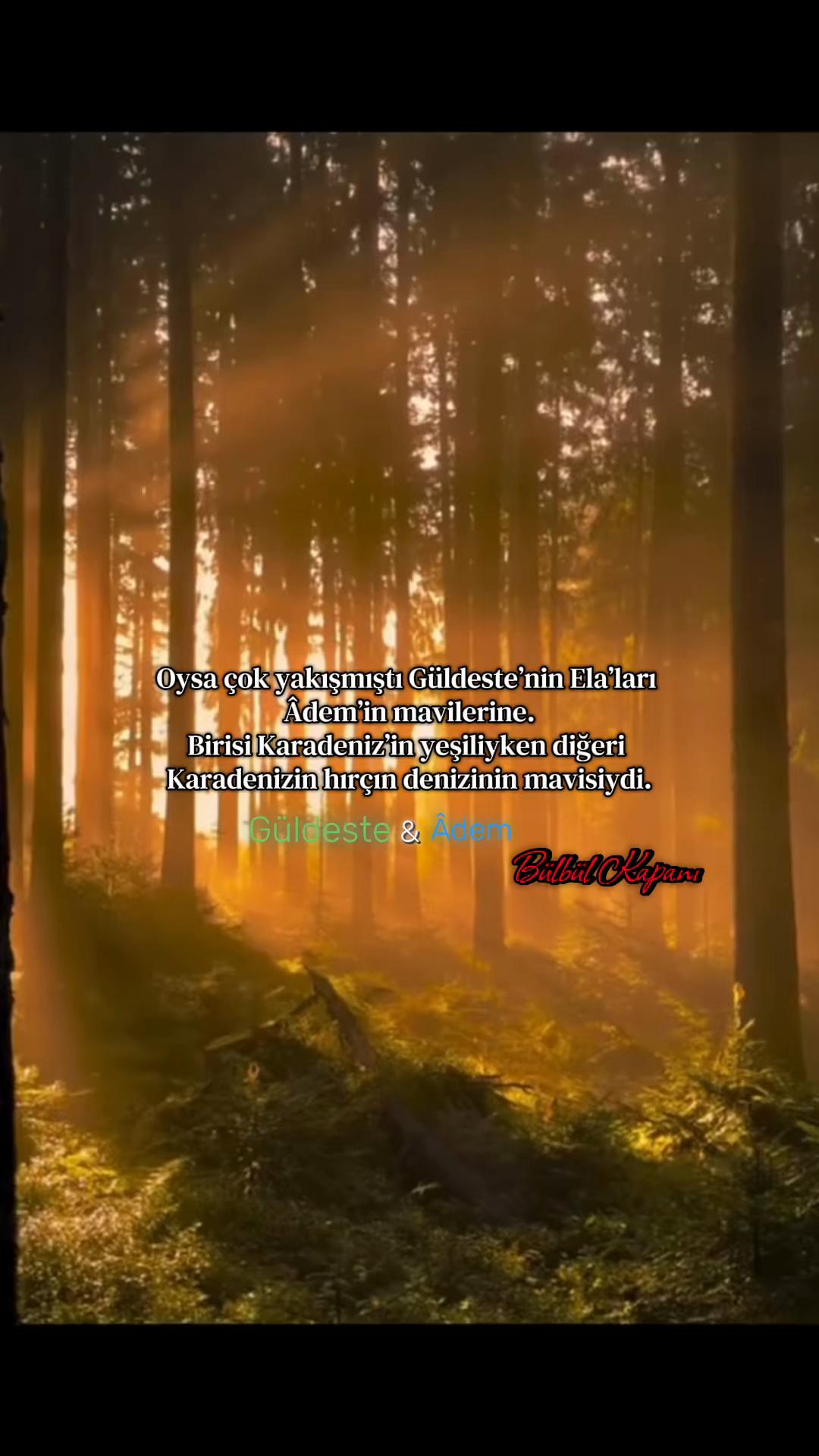 @ᴇʟᴢᴇᴍ ᴀᴋᴀʏ™᭕.꙳