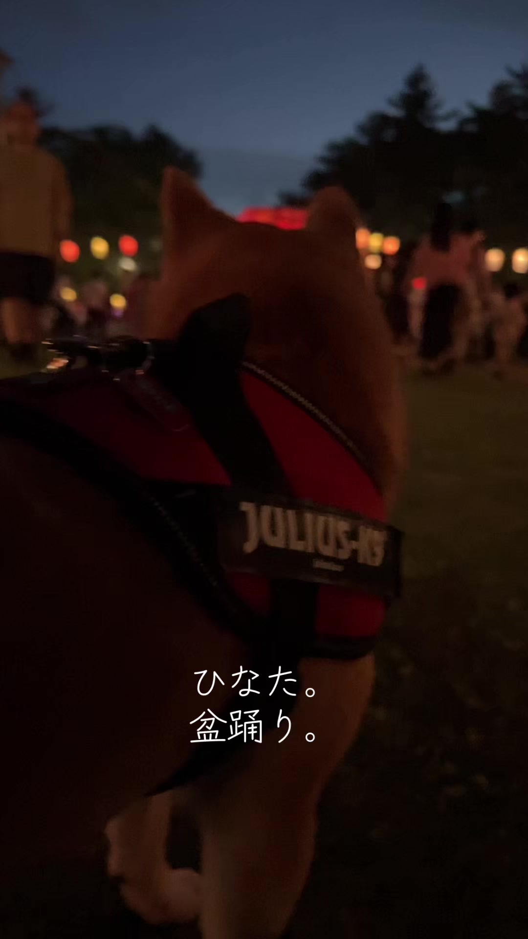 @ひでぽともぽ