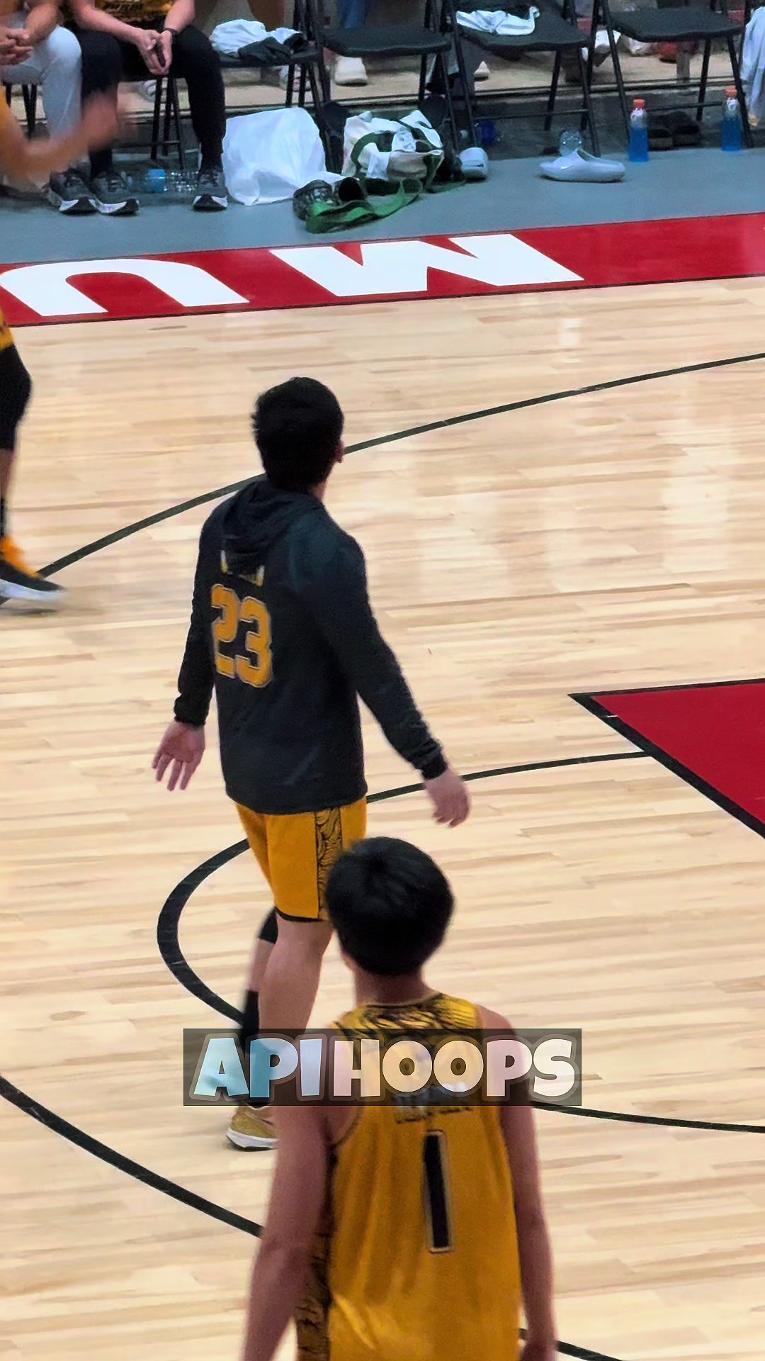 @apihoops_