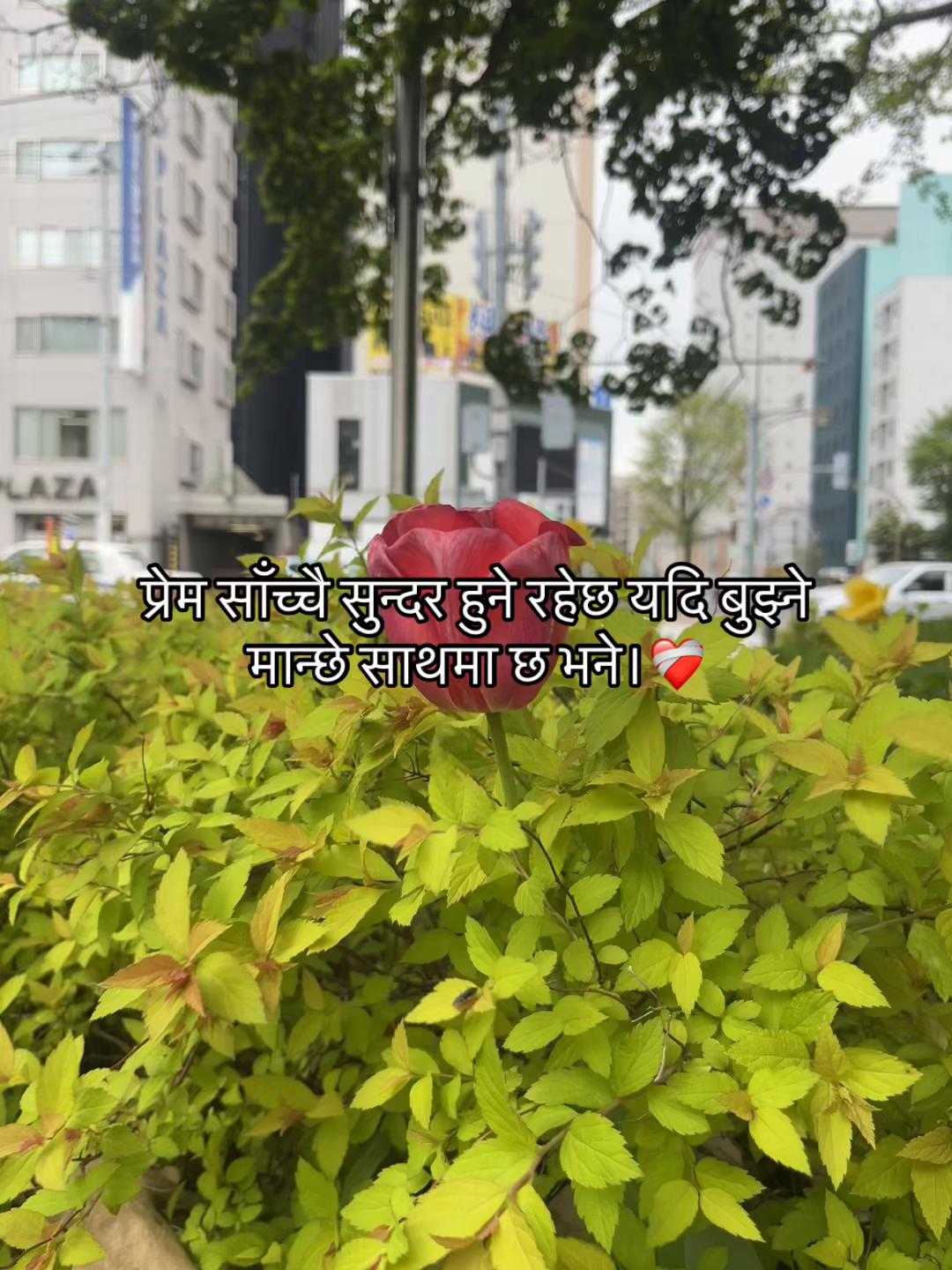 @Mr.Chhetri !!