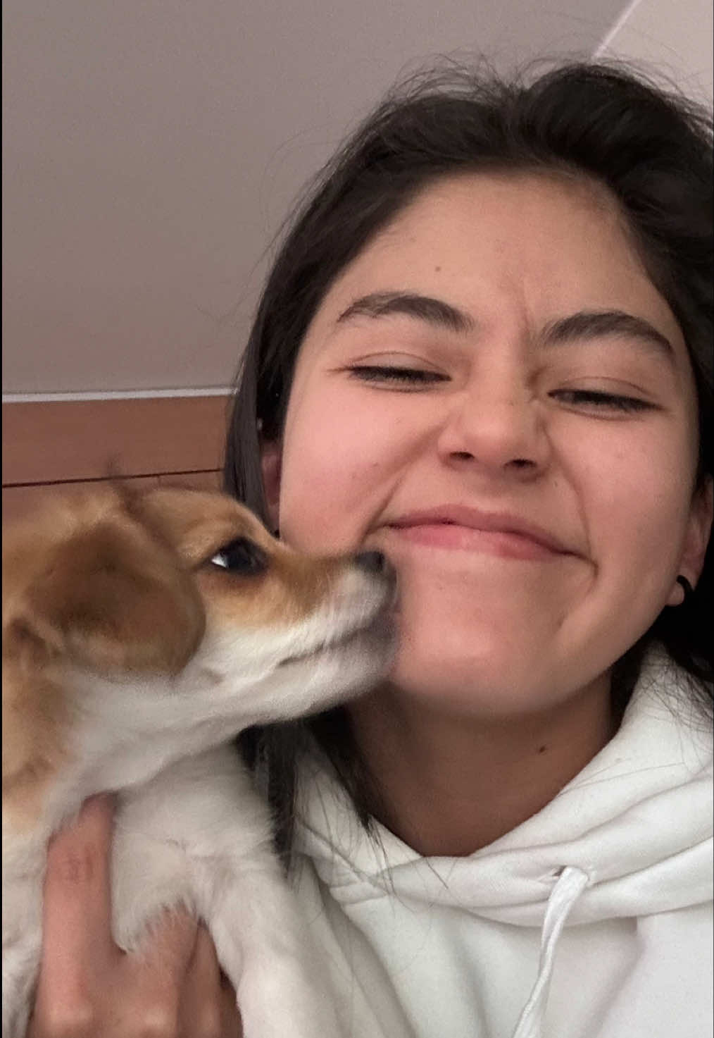 @Soy_Dome
