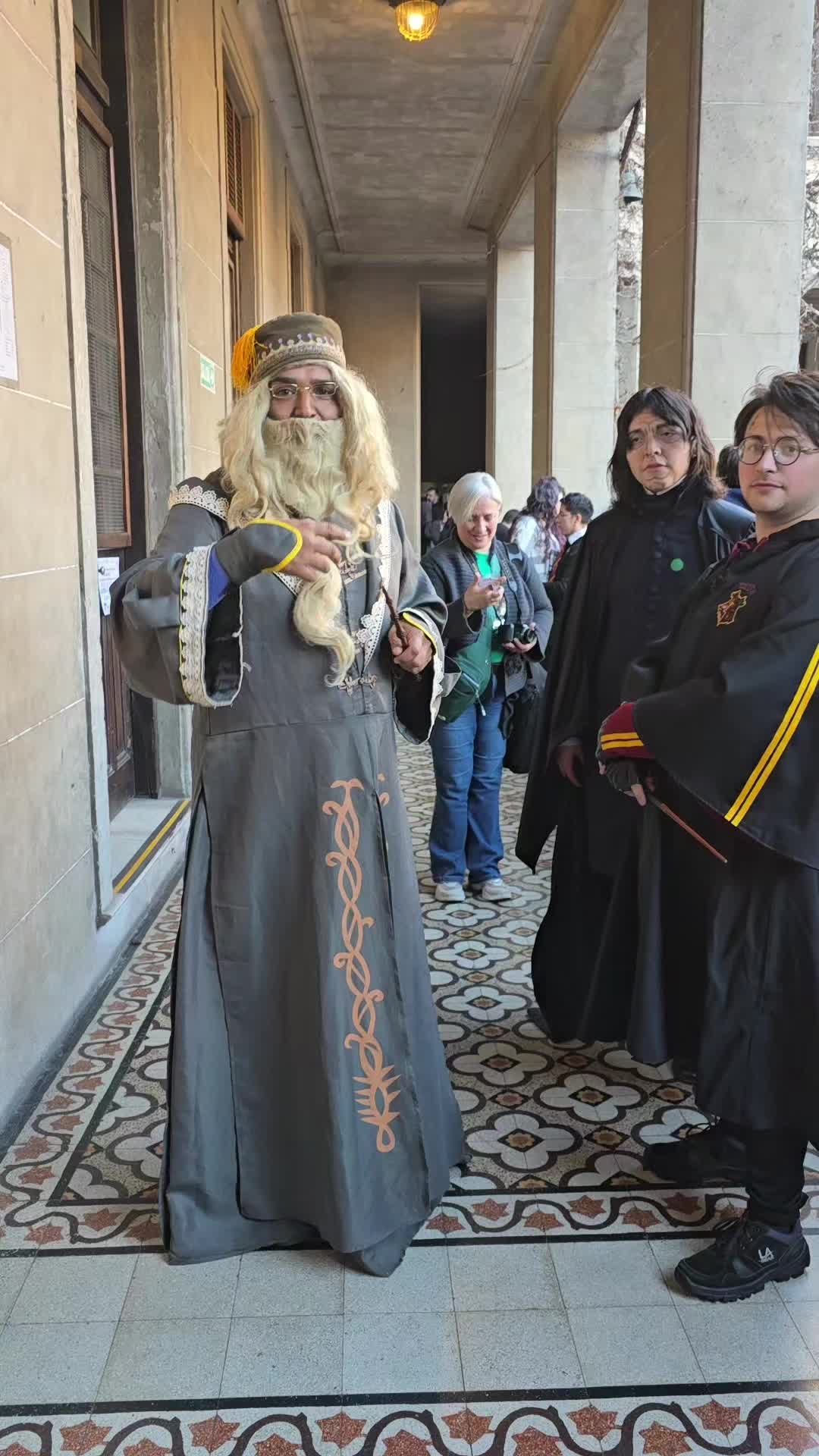 @harrypotterhunterchile