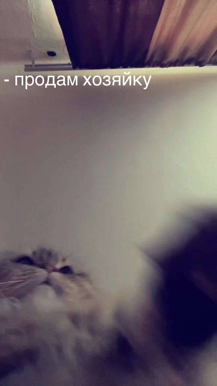 @🌈🛼Ролики🌈🛼