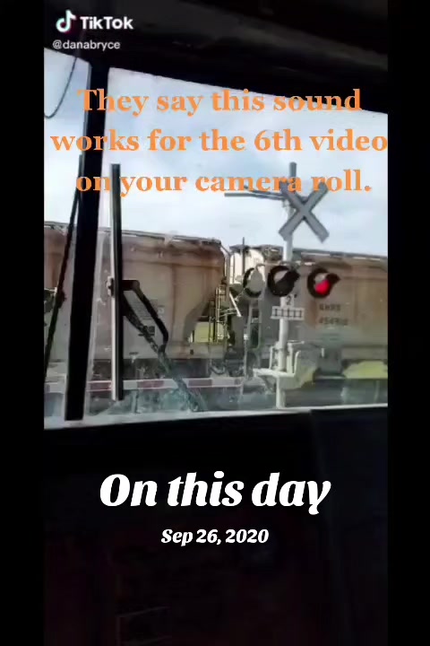 @Shadowninja🇨🇦
