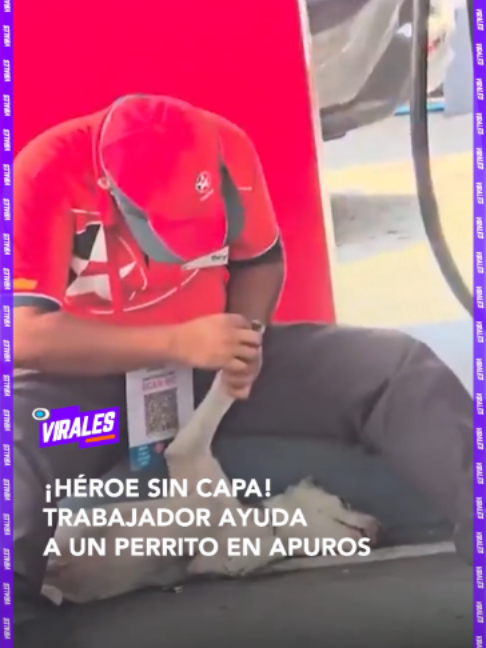 @RED UNO DE BOLIVIA
