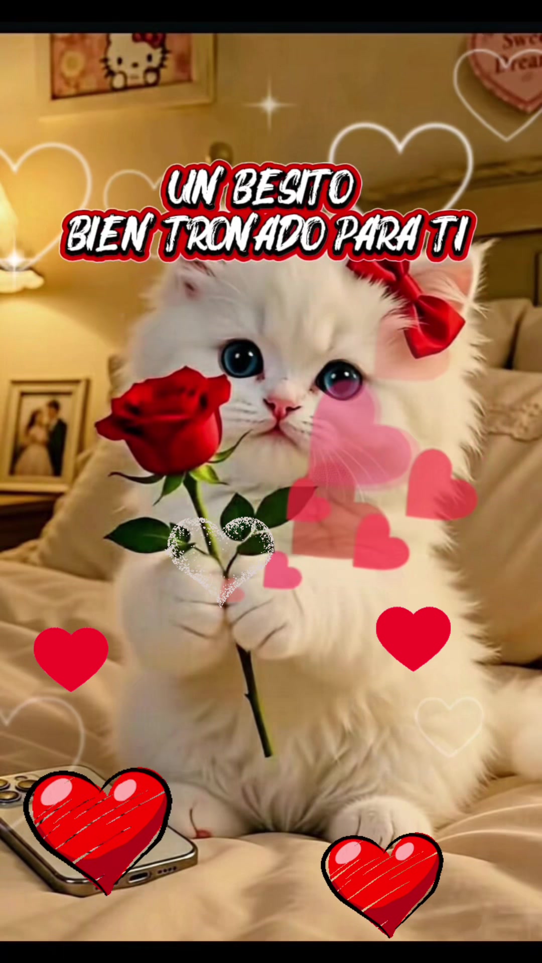 @COLOCHITA GOMEZ 🧿🐥🐺🐺🦋🪬