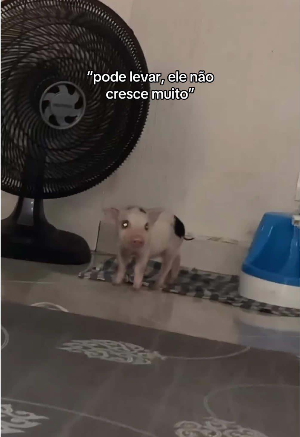 @Caroline