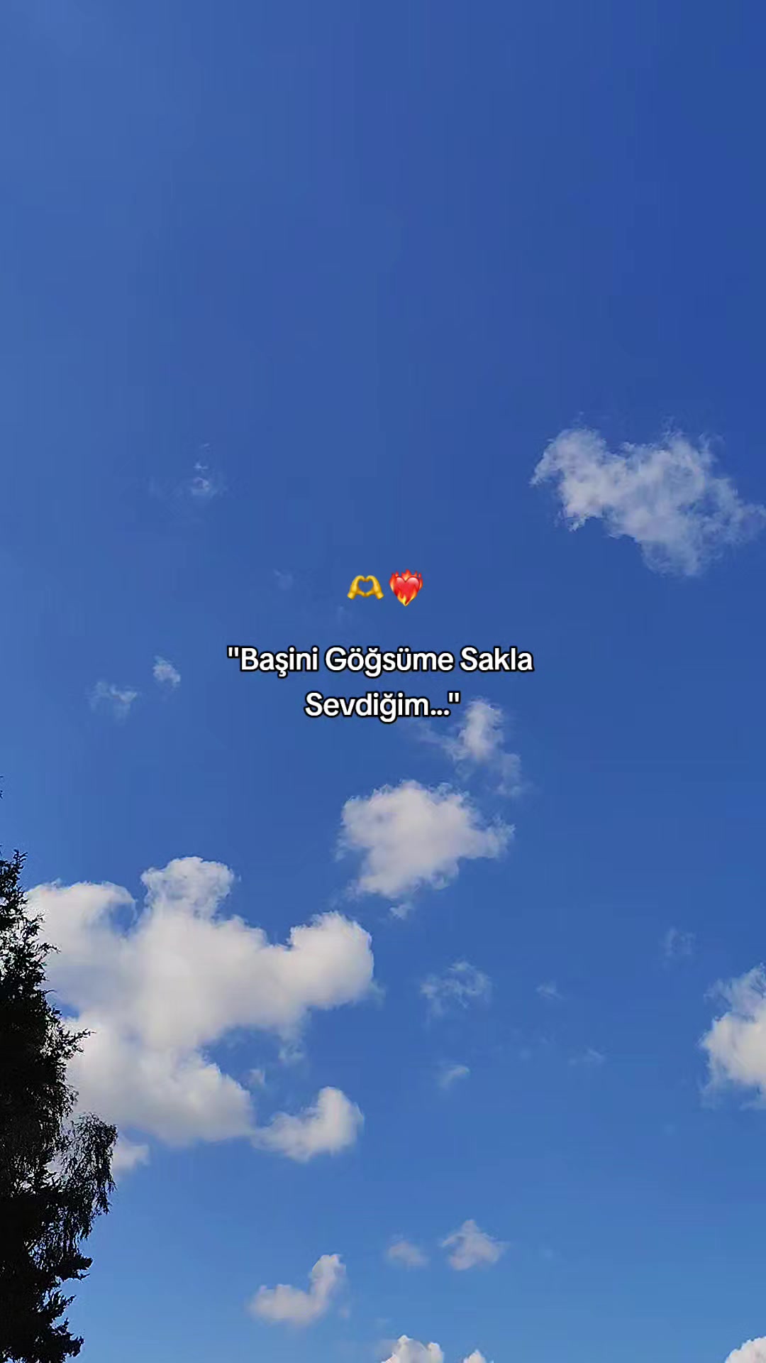 @Abd&uuml;laziz baka&ccedil;47⚡