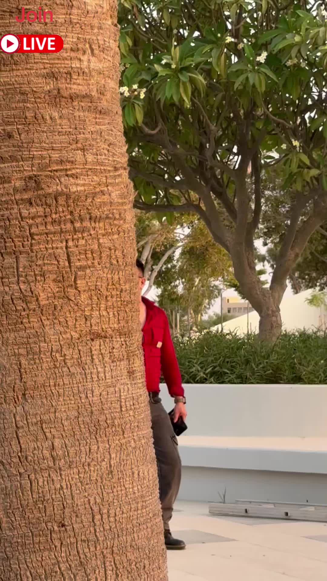 @๐
๐ข๐๐ค๐๐ฅ ๐ซ๐๐ข