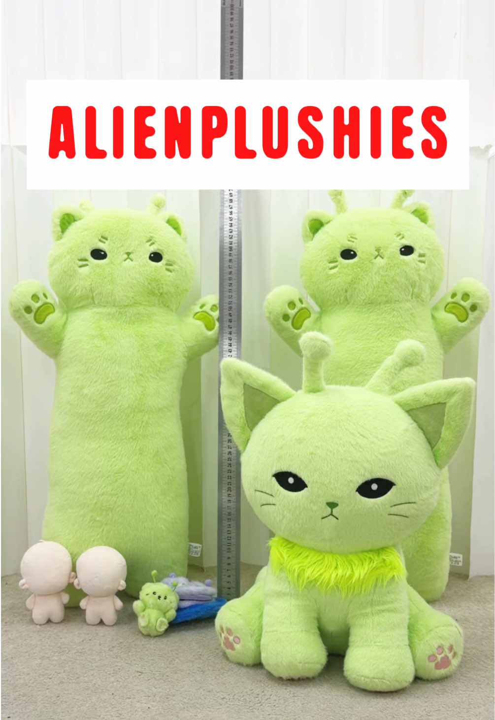 @PLUSHSHOP.COM