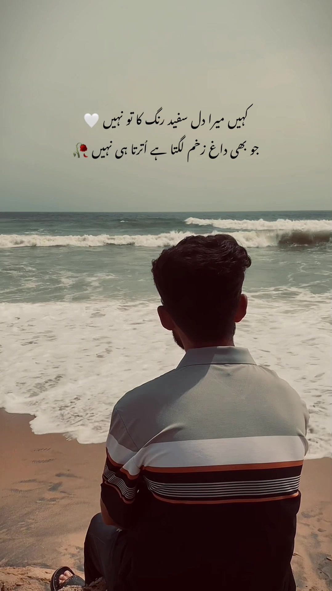 @ꜱʜᴀʀɪق ᴀʟɪ_27 🥀