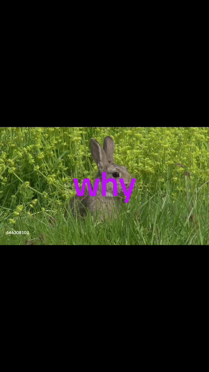 @juli(a)
