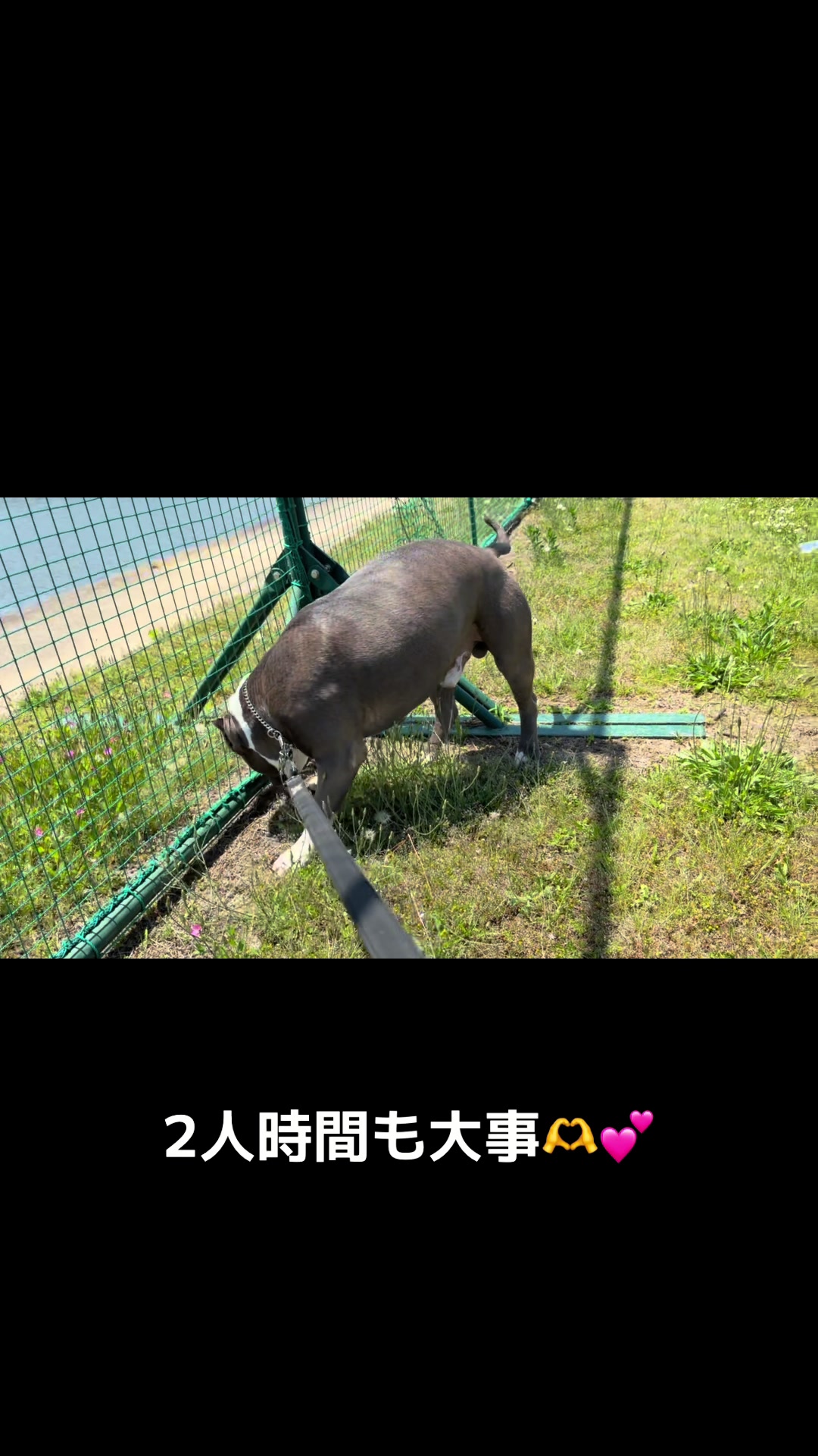 @BOSSใ ใ๐พ๐