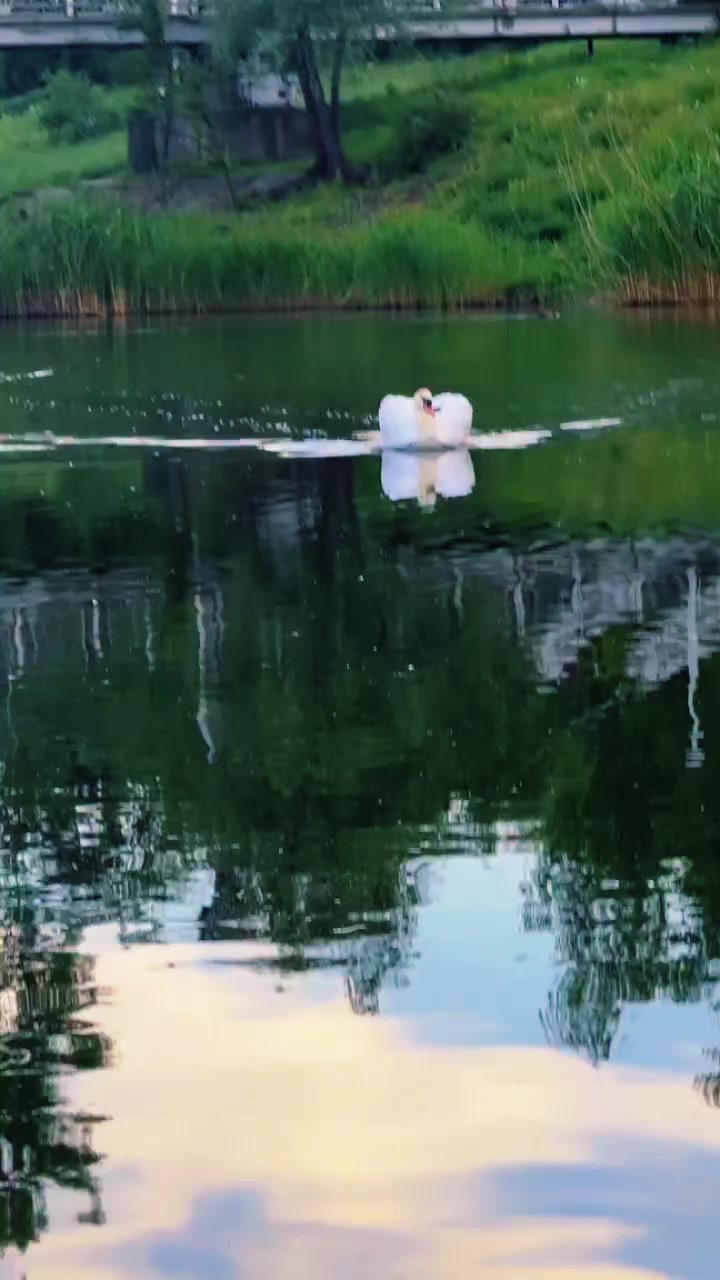 @🦋𝔽𝕖𝕟𝕚𝕩𝕤🦋