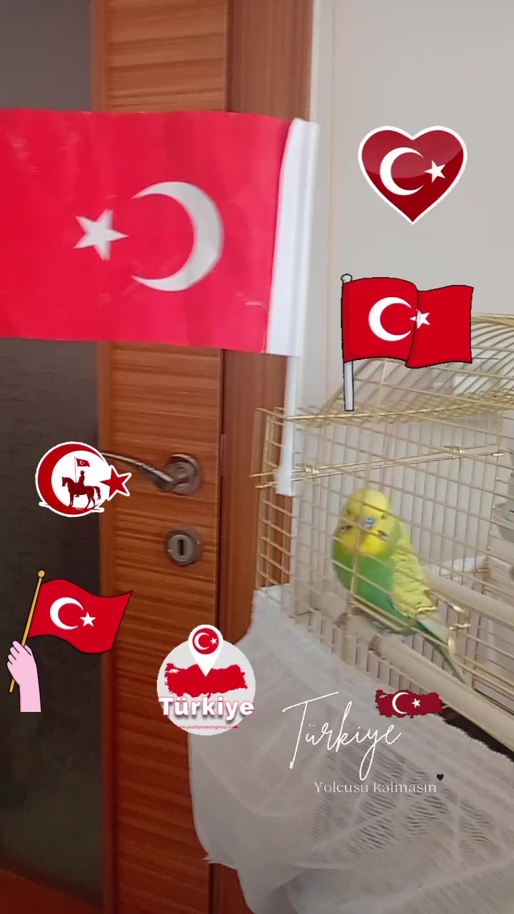 @cicikuş rıfkı🕊️