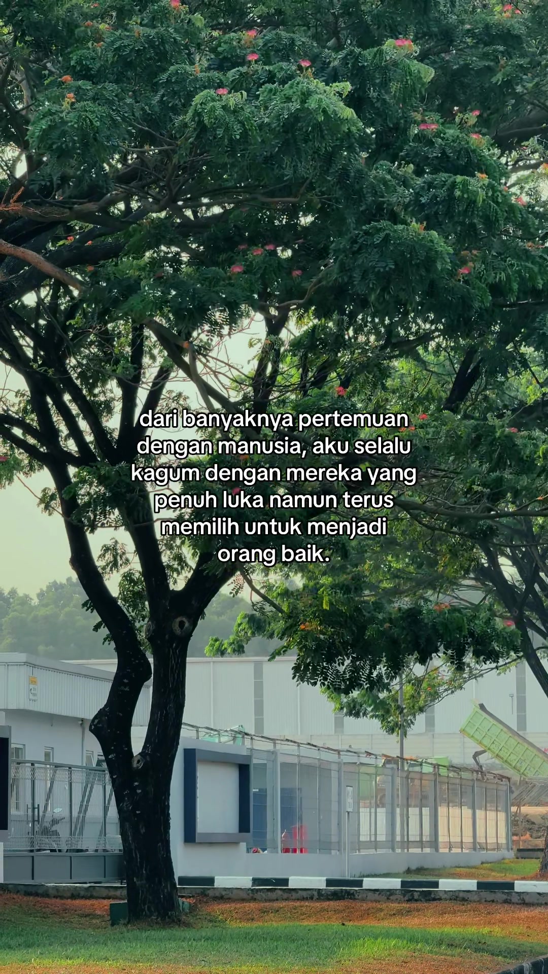@Lyrics Music