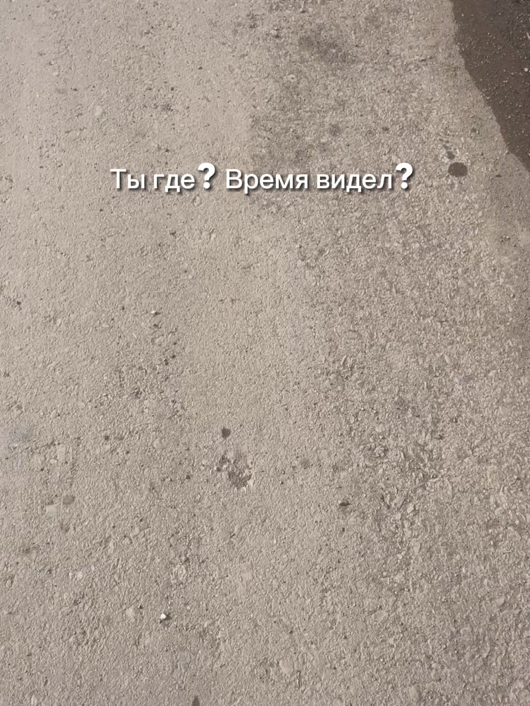 @🇷🇺поZыVной<ШТОРМ>🇷🇺