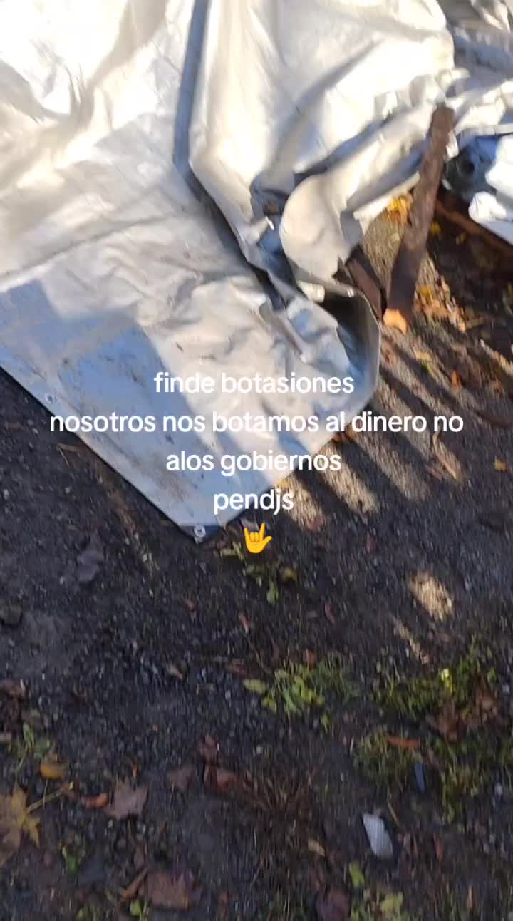 @chino lk asta la muerte