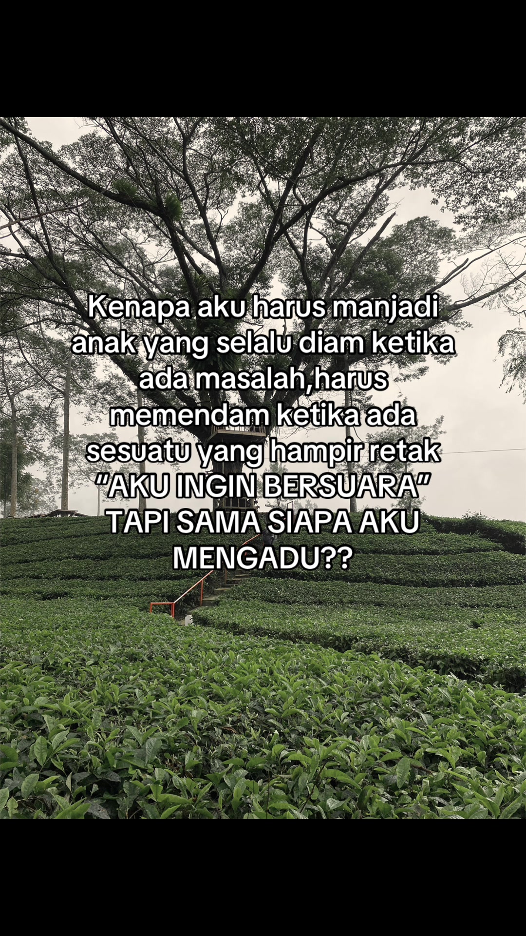 @Wahyuuu