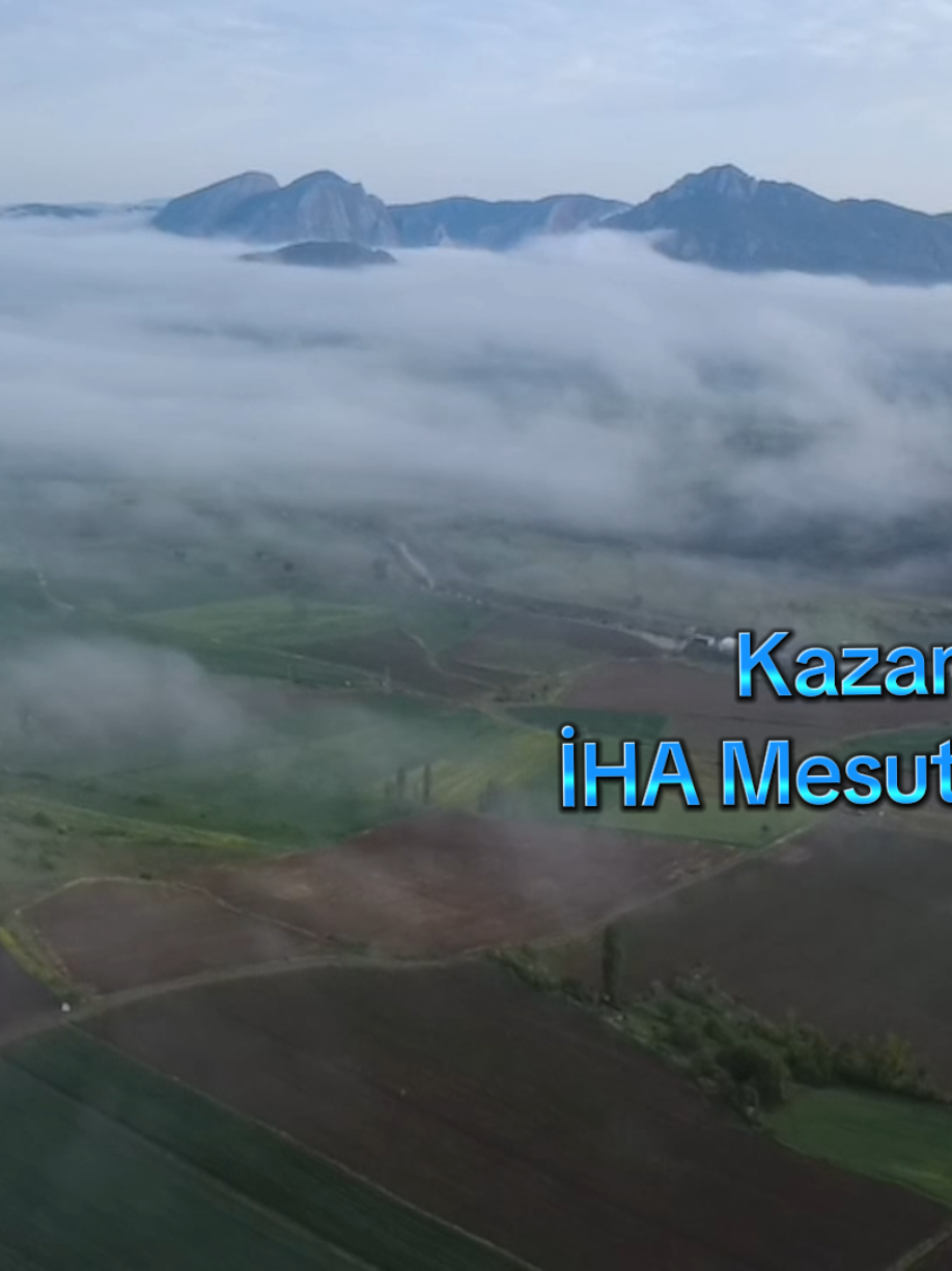@mesut s&uuml;zener