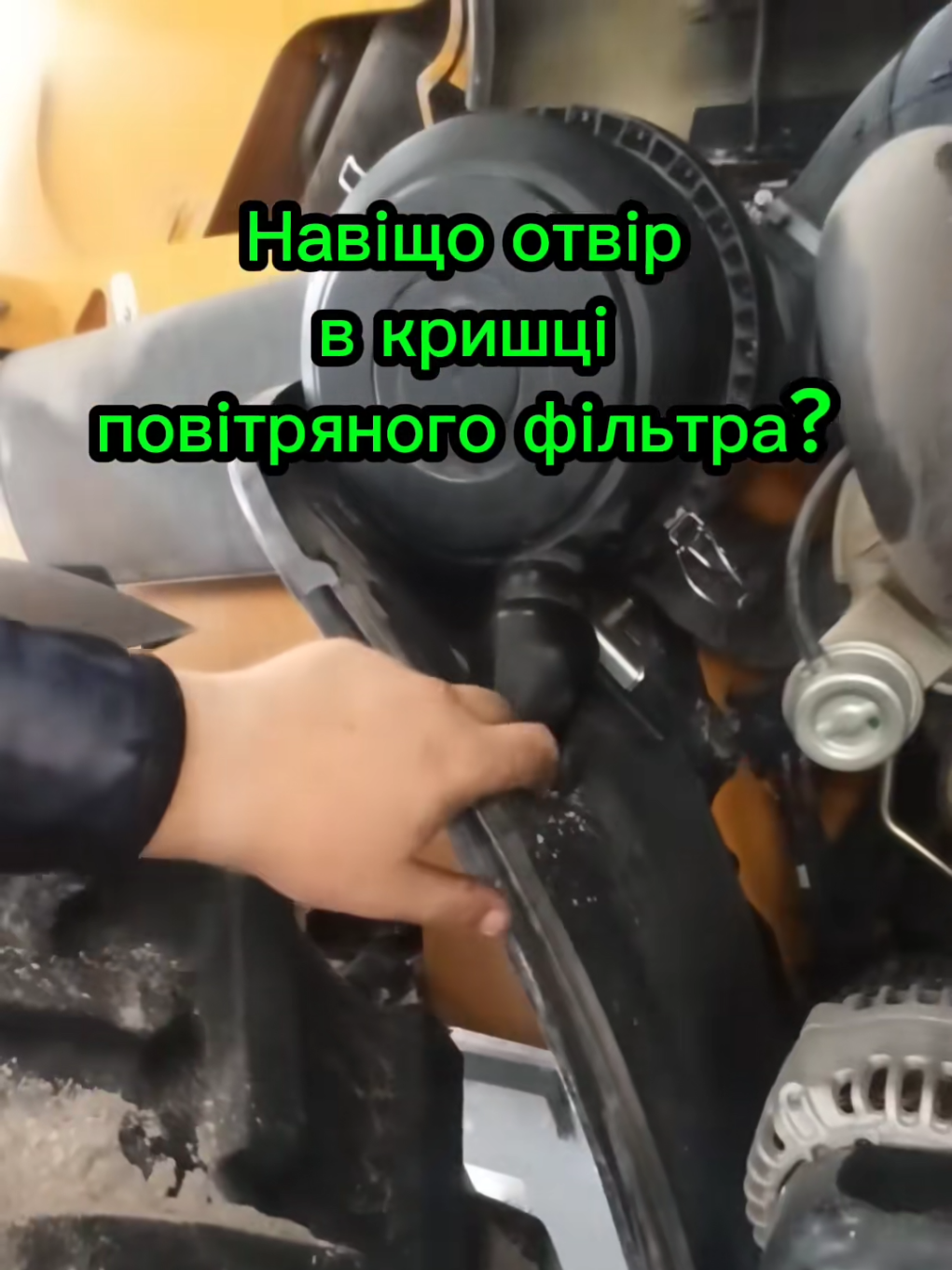 @N_L_S