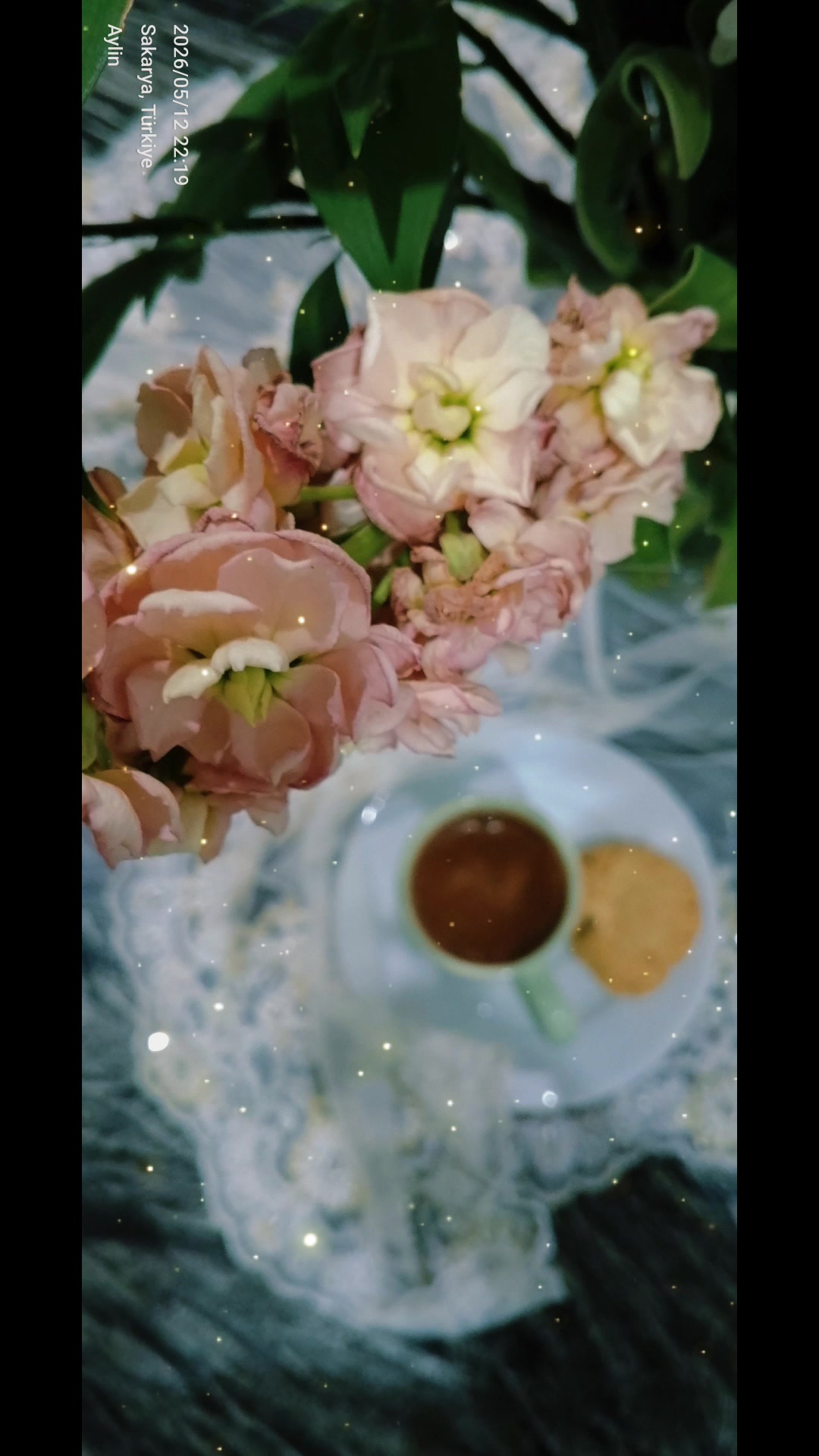 @◦•●◉✿Aylin Çınar✿◉●•◦