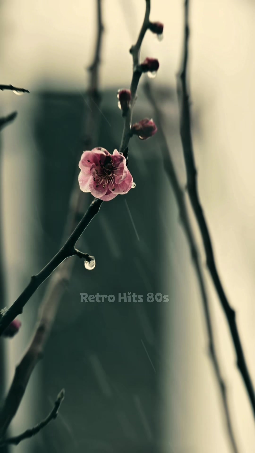 @Retro Hits 80s
