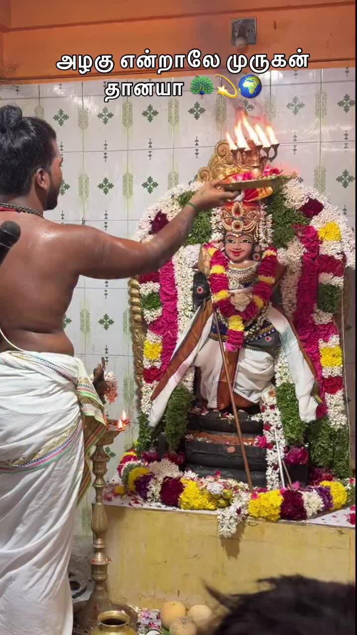 @T R N     TN. 50 Thillai