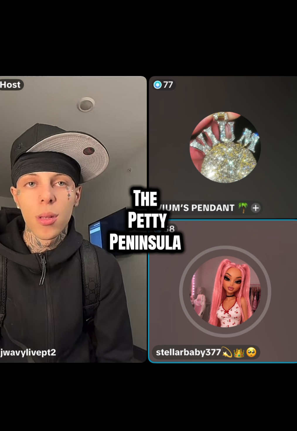 @thepettypeninsula6