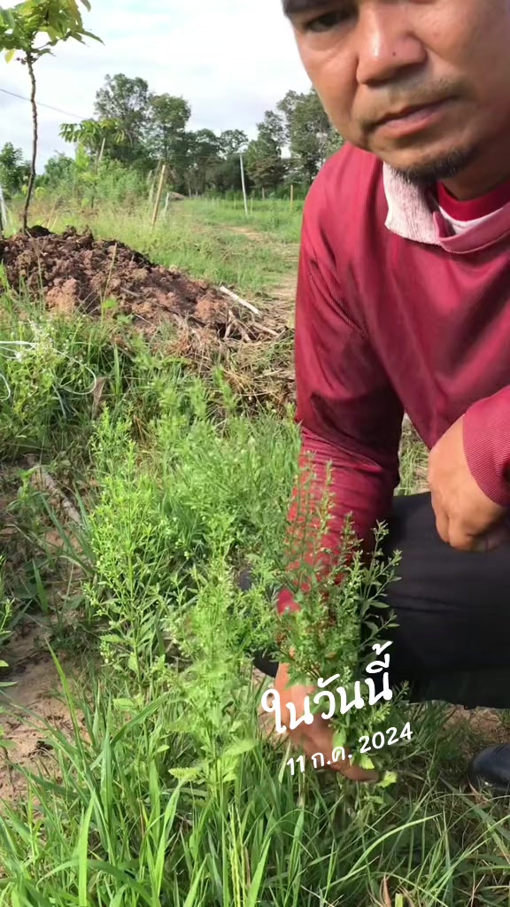 @Konloy