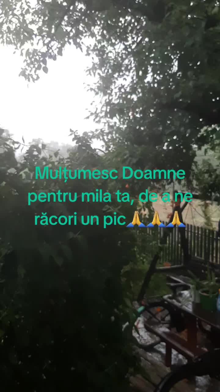 @Aliona❤